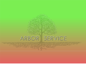 Logo Design by Stasia for this project | Design: #500411