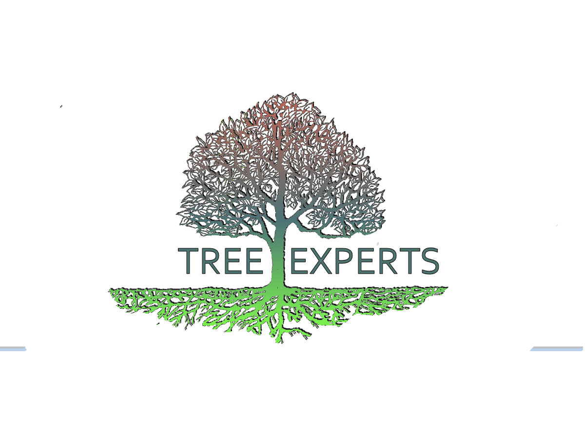 Logo-Design von Stasia für dieses Projekt | Design #500444