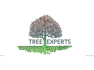 Logo Design by Stasia for this project | Design: #500446