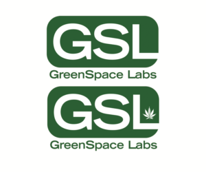 Logo Design by Hot Rod