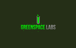 Logo Design by Mariano Solis