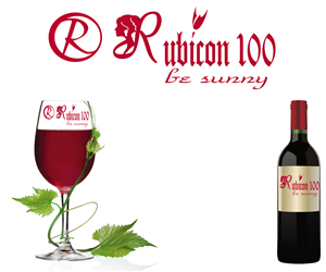 Logo Design by SuN Graphic 
