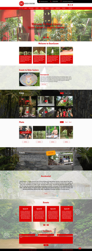 Diseño Web por Black Stallions Impressive Solutions para este proyecto | Diseño #12308466