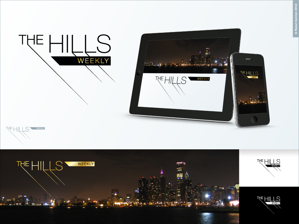 Logo Design by Raoul Camion for this project | Design #12045381