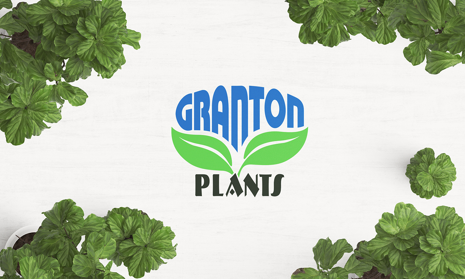 Diseño de Logo por Mikhail para Granton Plants | Diseño #12090294