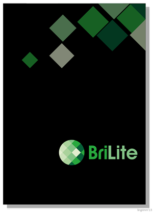 Brochure Design by  Lingrimm