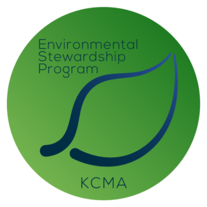 Logo Design by Mysterious Design X for this project | Design: #12150319