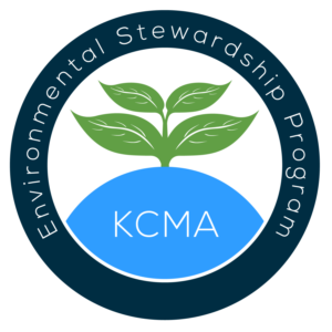 Logo Design by Mysterious Design X for this project | Design: #12152496