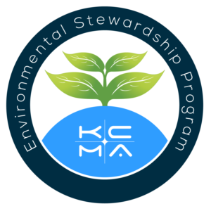 Logo Design by Mysterious Design X