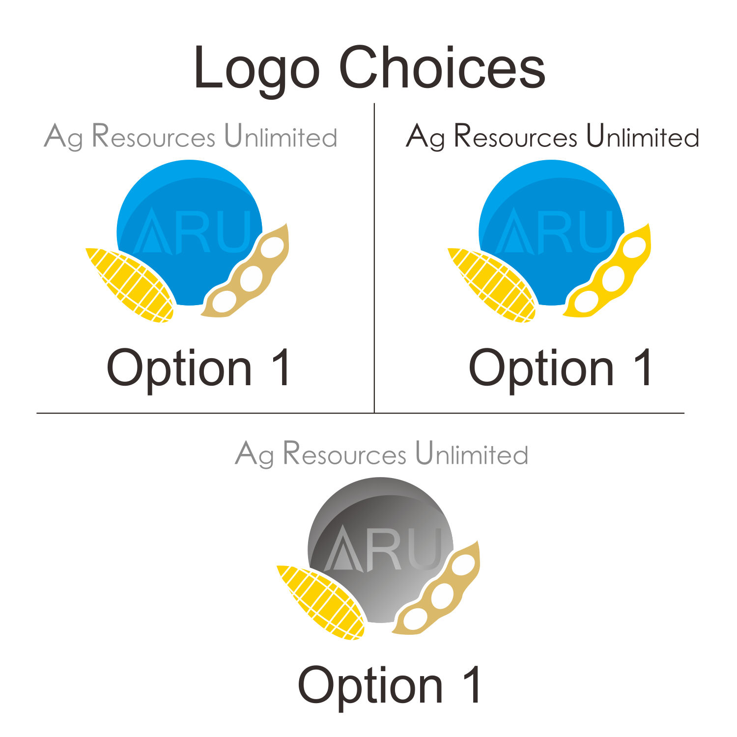 Diseño de Logo por FandySalim para este proyecto | Diseño #12088171