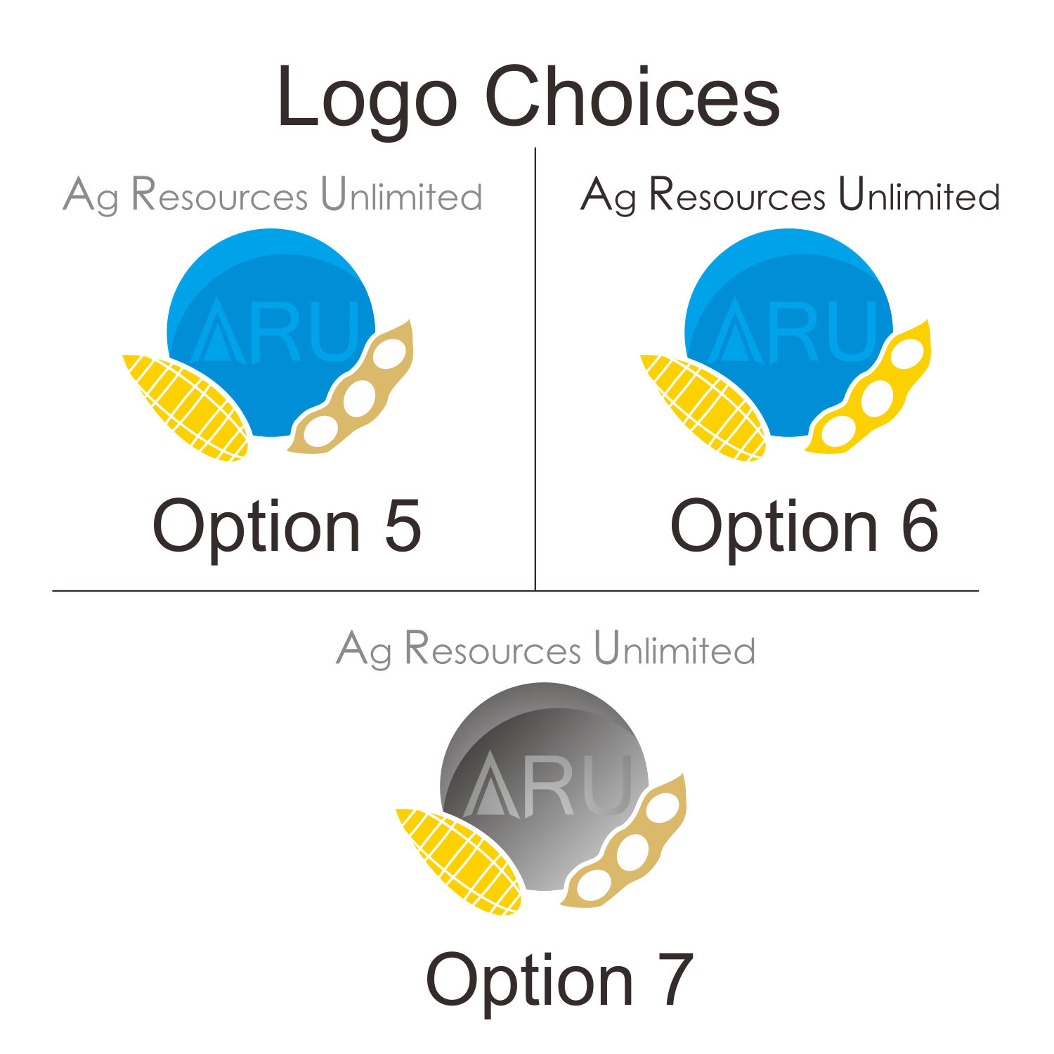 Diseño de Logo por FandySalim para este proyecto | Diseño #12089361