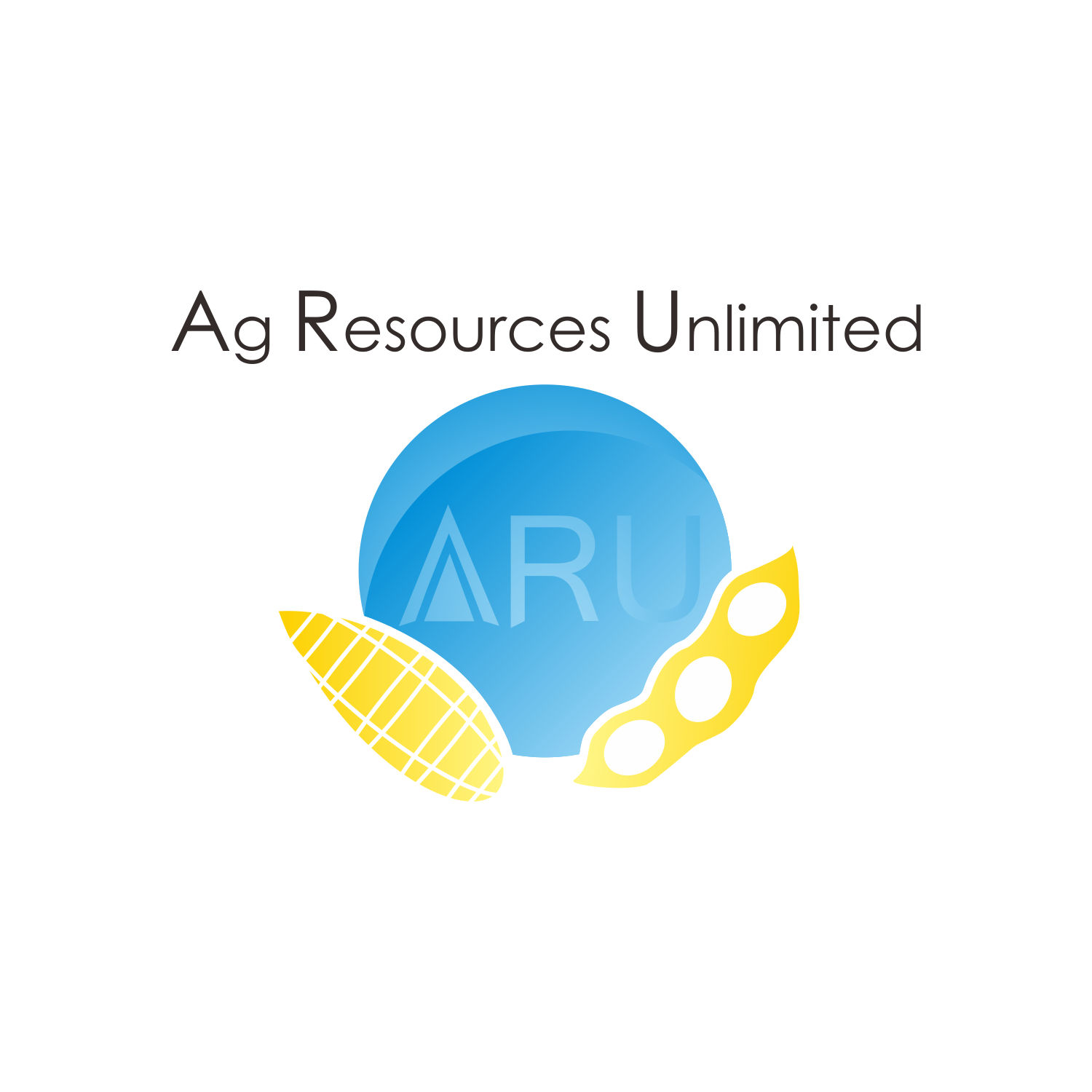 Diseño de Logo por FandySalim para este proyecto | Diseño #12095611