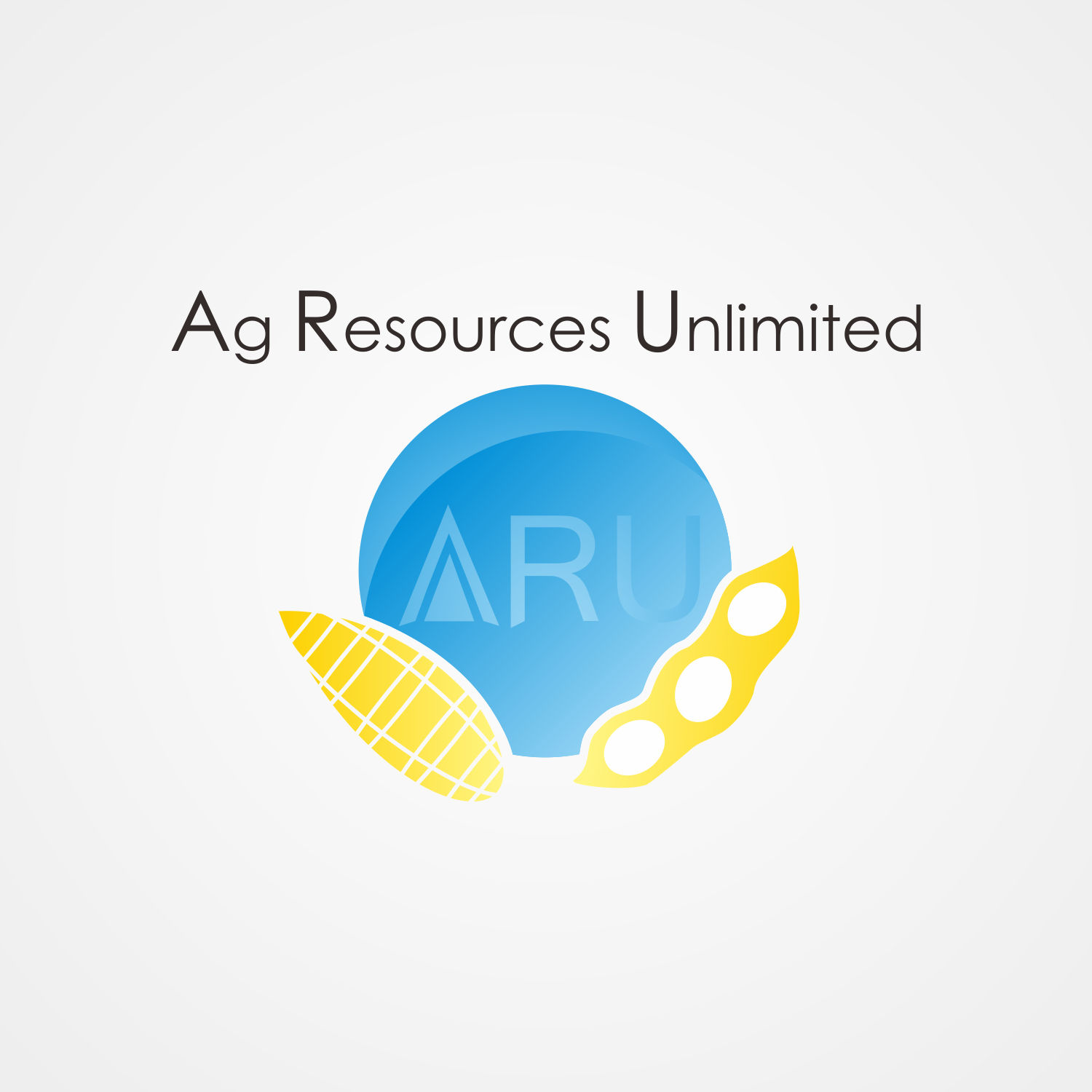 Diseño de Logo por FandySalim para este proyecto | Diseño #12095624