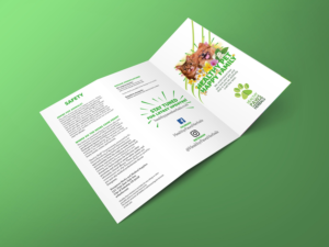 Flyer Design by adragst for Original Breath | Design: #12085704