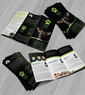 Flyer Design by Achiver for Original Breath | Design: #12102179