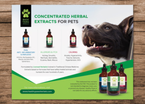 Healthy Paws Herbals: Extracts for Pets  | Diseño de Flyer por sun_design