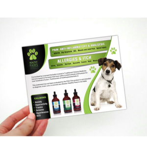 Flyer Design by creative.bugs for Original Breath | Design: #12077953