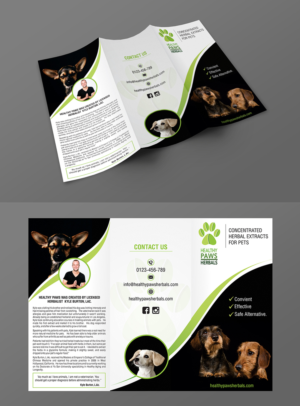 Healthy Paws Herbals: Extracts for Pets  | Diseño de Flyer por ecorokerz