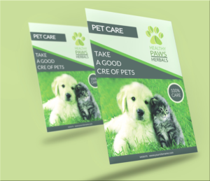 Flyer Design by HAS for Original Breath | Design: #12071369