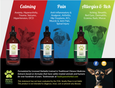 Flyer Design by Buney for Original Breath | Design #12087538