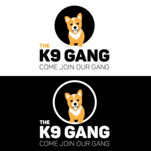 Logo Design by huynhtienvn