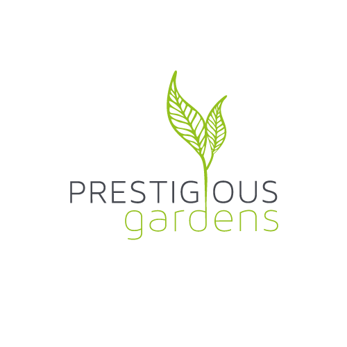 Design de Logo par Kiwi &amp; Lime Design pour ce projet | Design #12091905