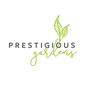 Logo-Design von Kiwi &amp; Lime Design für dieses Projekt | Design: #12158007