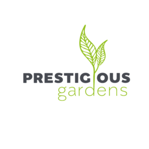 Logo Design by Kiwi &amp; Lime Design