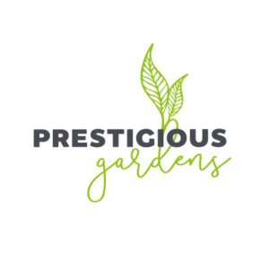 Logo-Design von Kiwi &amp; Lime Design für dieses Projekt | Design: #12158009