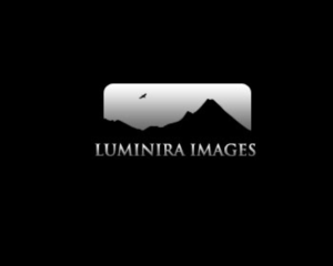 Logo Design by topdesign
