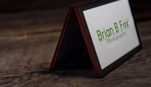 Logo Design by Impressive Sol