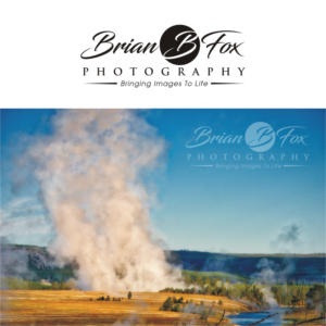 Logo Design by Sushma for Brian B Fox Photography | Design: #12080275