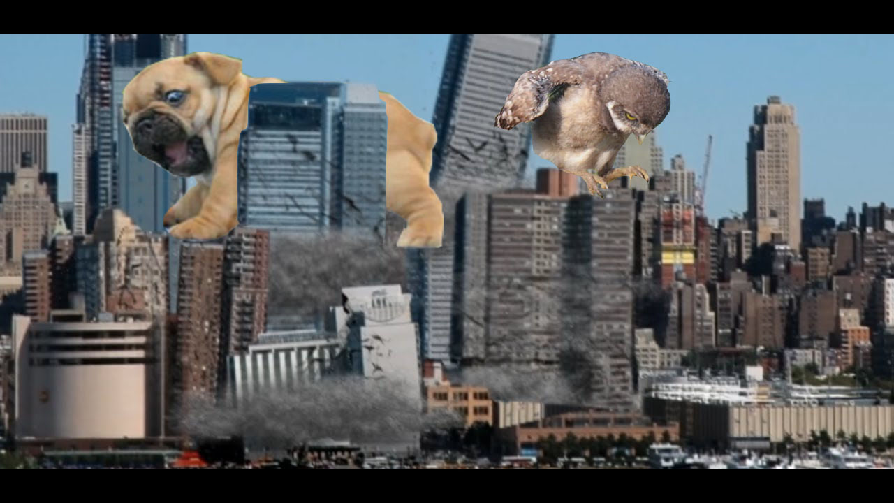 Illustration-Design von routhedison für DesignCrowd (Community Contests) | Design #12189842