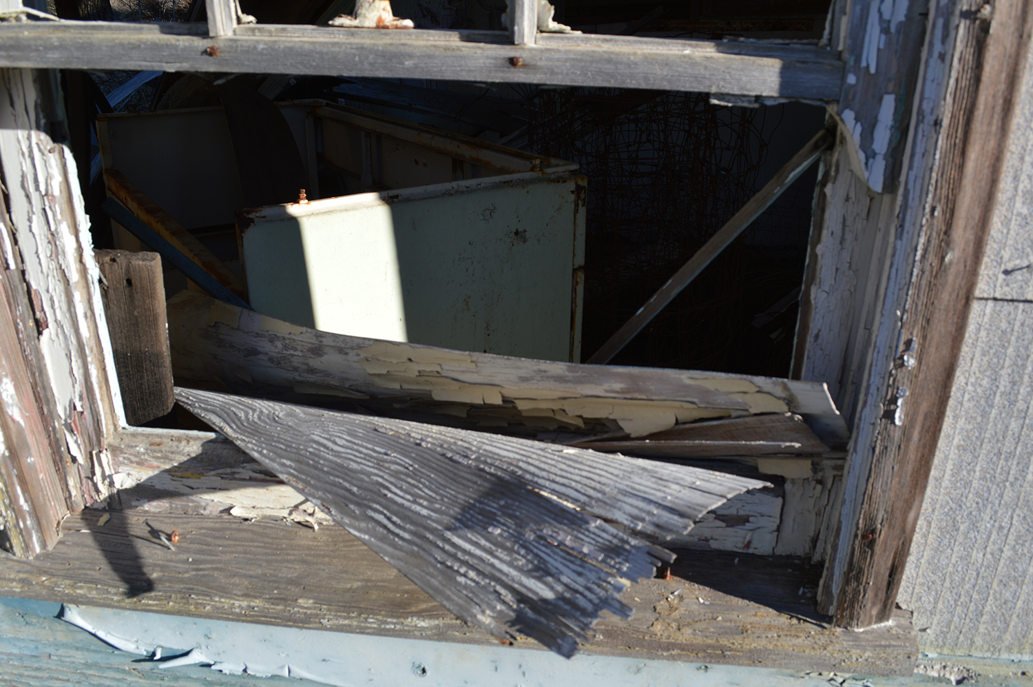 Photography by cutekoala for DesignCrowd (Community Contests) | Design #12084204