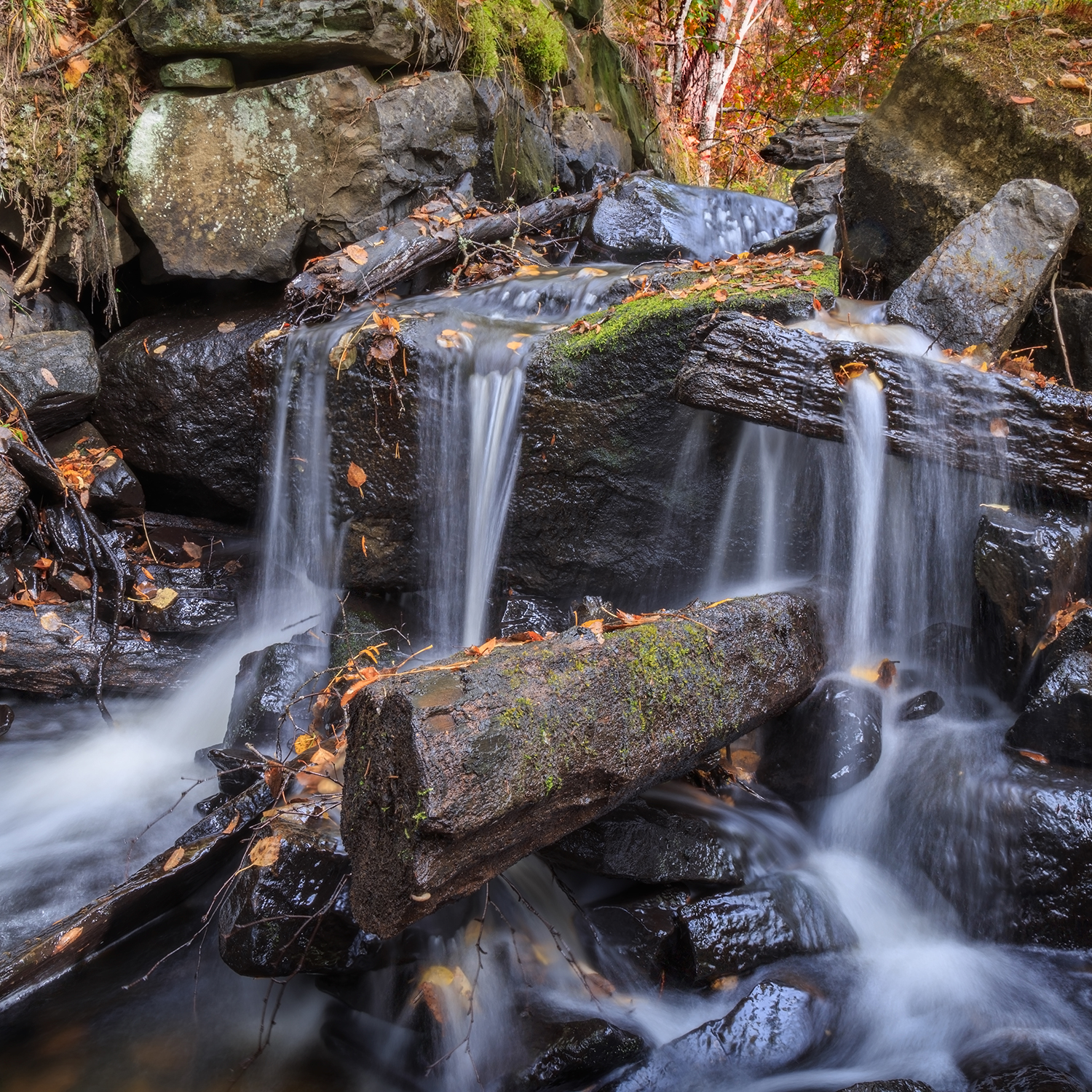 Photography by geertweggen for DesignCrowd (Community Contests) | Design #12106319