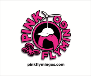 Pinkflymingos.com | Logo Design by LockJawCreative