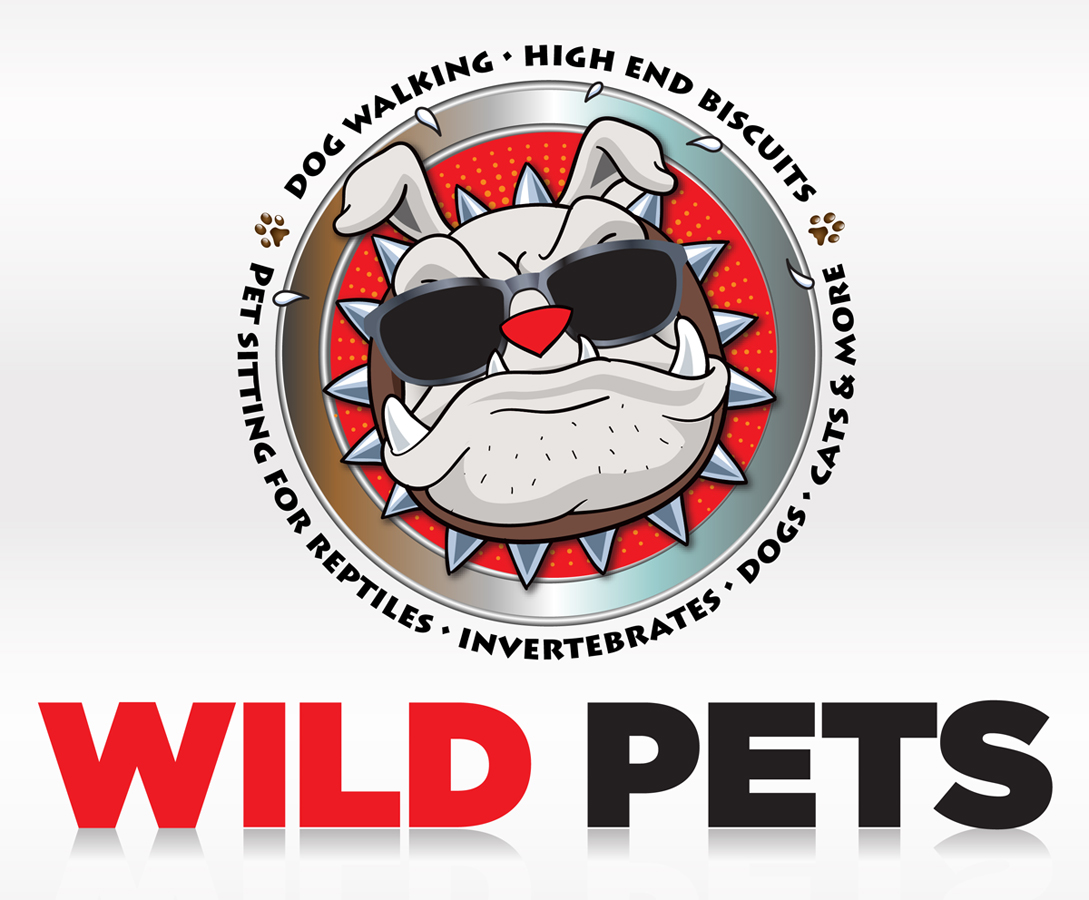 Design de Logo par Jackie Morrison pour Butterfly Skye | Design #2383616