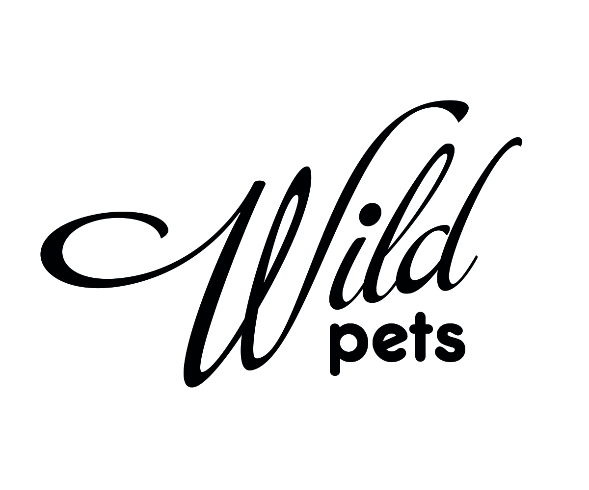 Design de Logo par Andrés Sebastián pour Butterfly Skye | Design #2385396