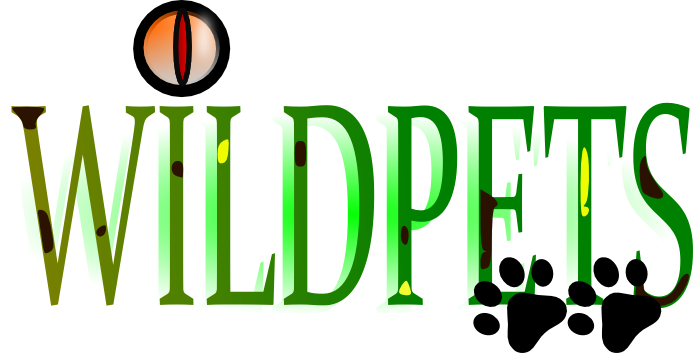 Logo Design by ecosmodyne for Butterfly Skye | Design #2398134