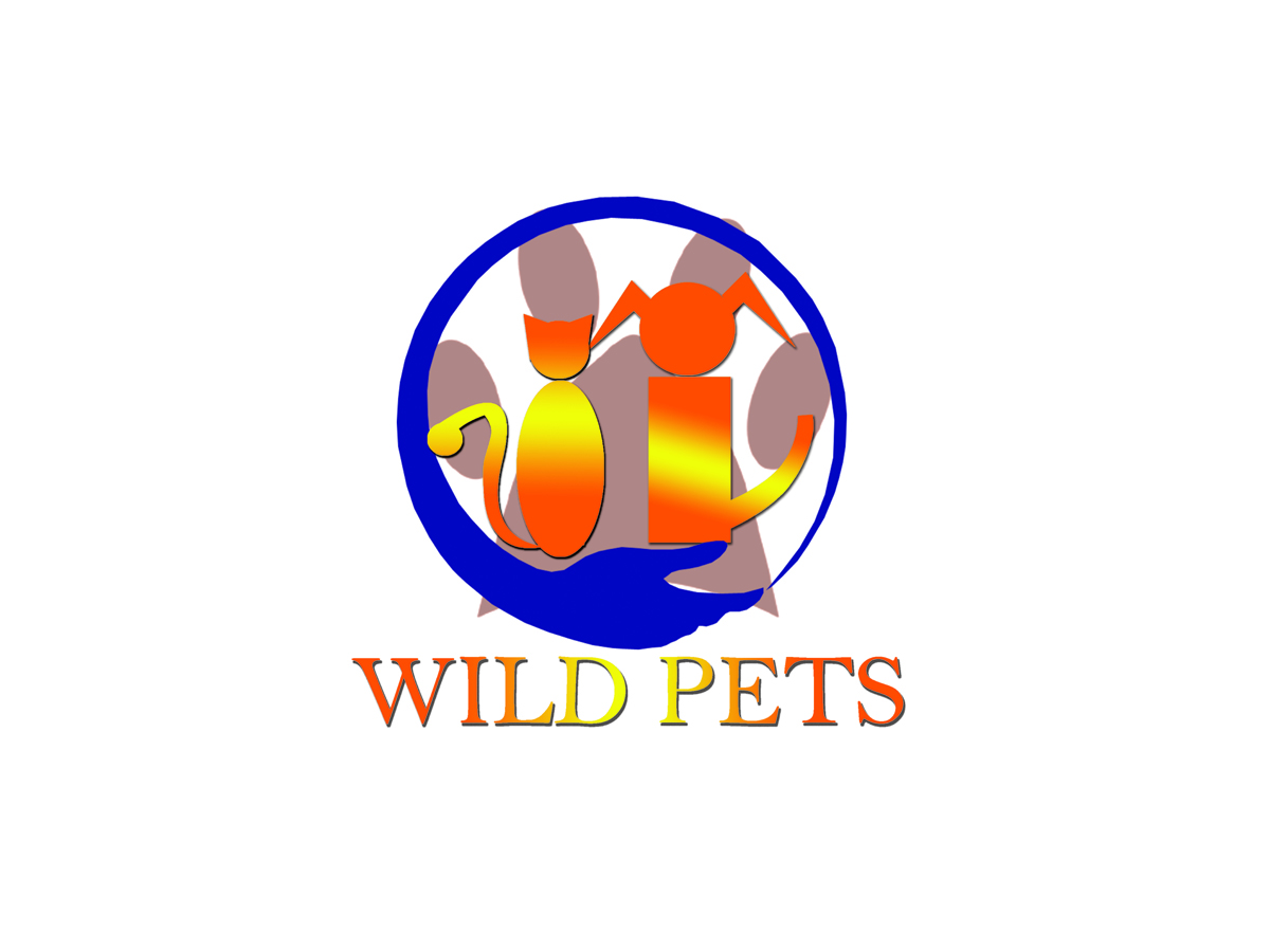 Logo Design by ecosmodyne for Butterfly Skye | Design #2402133