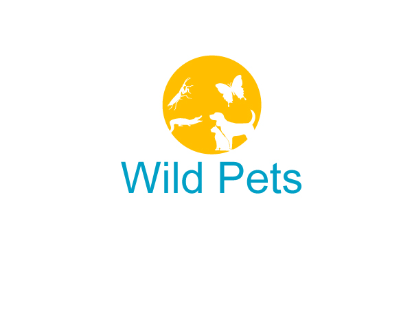 Logo Design by Parul for Butterfly Skye | Design #2396968