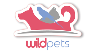 Logo Design by Jopoto