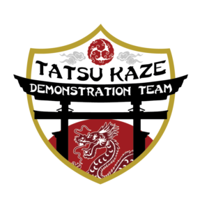 Logo Design by BEGD - Bradley Edwards Graphic Design for Classical Martial Arts Centre  | Design: #14666614