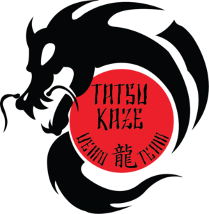Logo Design by alien_noises for Classical Martial Arts Centre  | Design #14673348