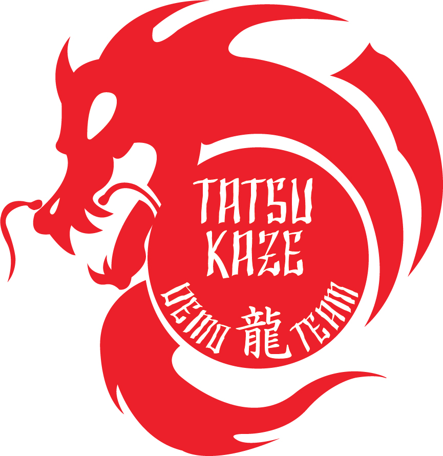 Logo Design by alien_noises for Classical Martial Arts Centre  | Design #14673363