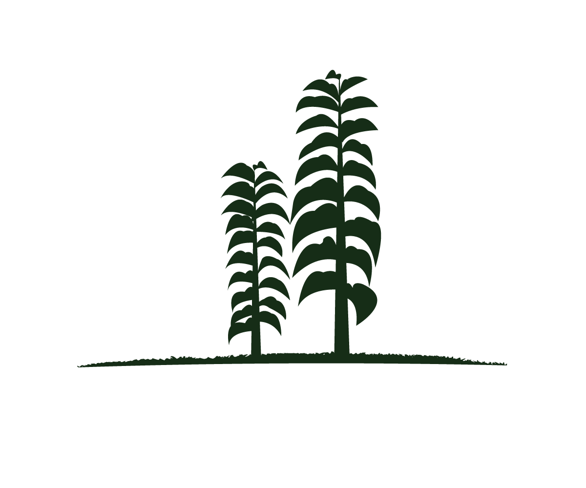 Logo Design by Sergio Coelho for this project | Design #12308786