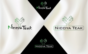 Logo Design by Dev pro web &amp; graphic designer