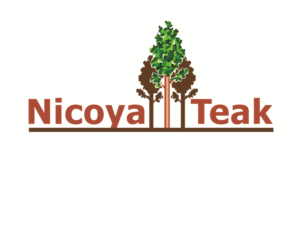Logo Design by Hot Rod
