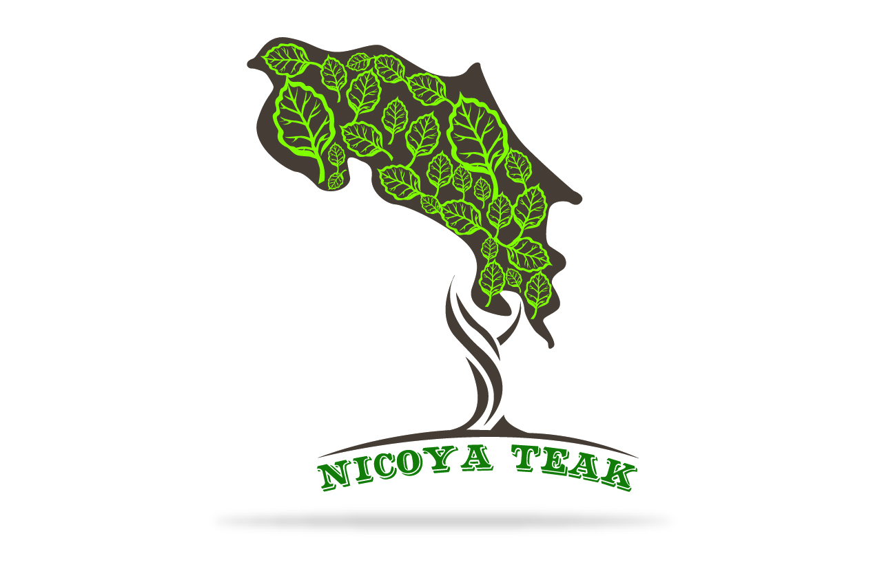 Diseño de Logo por PrasaART para este proyecto | Diseño #12121266