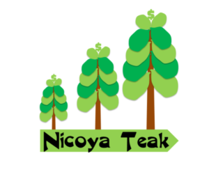 Logo Design by anusha.vardhini for this project | Design #12094612